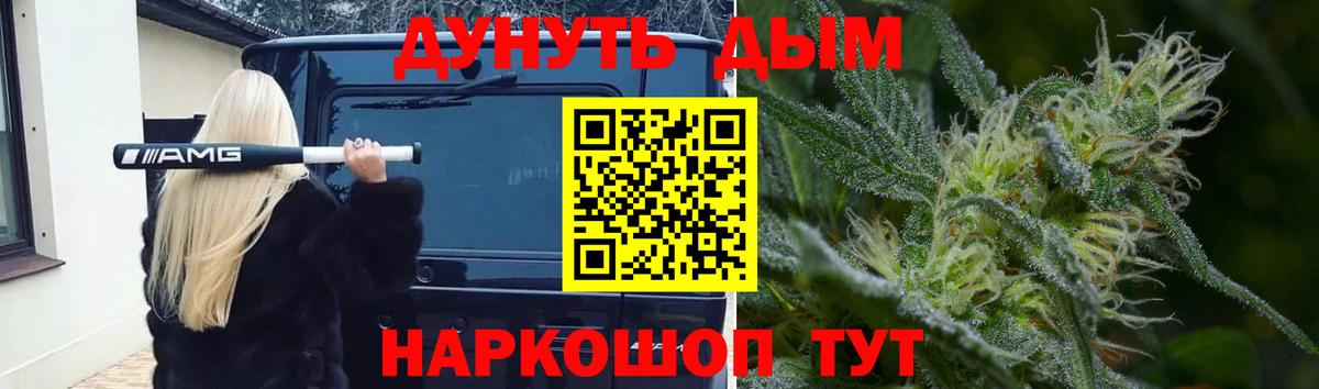 Канабис SATIVA & INDICA  Канабис семена  Вход с VPN  Марихуана конопля  Маркс 